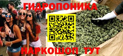 прущие грибы Кунгур
