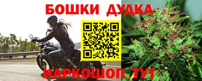мяу мяу мука Лесосибирск
