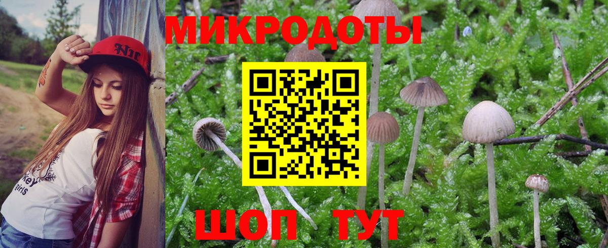Псилоцибиновые грибы Magic Shrooms Камышлов