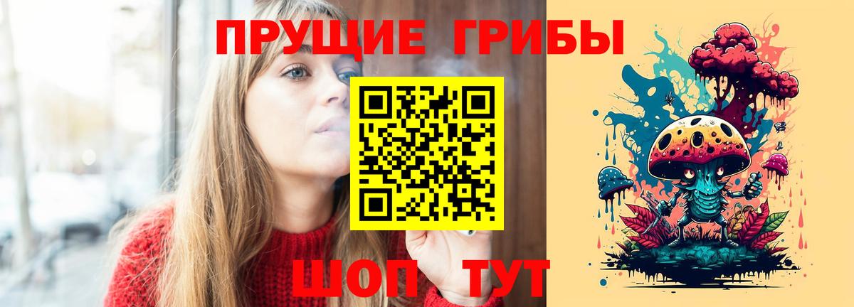 Камышлов  Псилоцибиновые грибы мицелий  Вход с VPN 